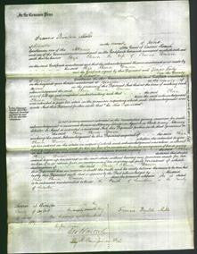 Court of Common Pleas - Eliza Eleanor Dawson-Original Ancestry