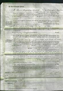 Court of Common Pleas - Sarah Merrick-Original Ancestry