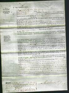 Court of Common Pleas - Hannah Bownass-Original Ancestry