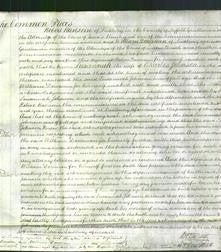 Court of Common Pleas - Susannah Johnson-Original Ancestry