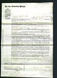 Court of Common Pleas - Frances Mowbray-Original Ancestry