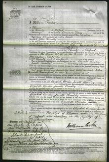 Court of Common Pleas - Elizabeth Amelia Janette Hendley-Original Ancestry
