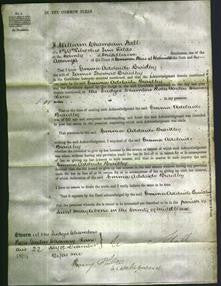 Court of Common Pleas - Emma Adelaide Braidley-Original Ancestry