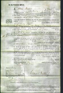 Court of Common Pleas - Matilda Cotsell and Matilda Mansfield-Original Ancestry