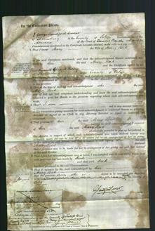 Court of Common Pleas - Mary Reid-Original Ancestry