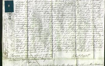 Court of Common Pleas - Hannah Williams-Original Ancestry