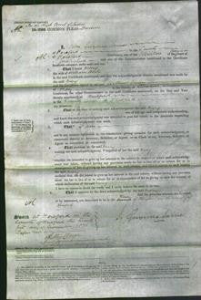 Court of Common Pleas - Mary Hoile-Original Ancestry