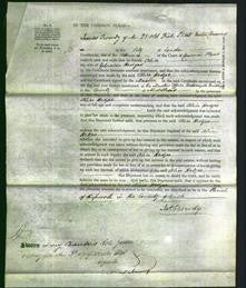 Court of Common Pleas - Alice Hedges-Original Ancestry