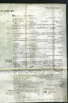 Court of Common Pleas - Eliza Moore and Mary Harriett Barrett-Original Ancestry
