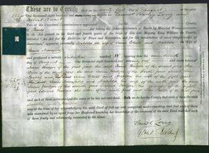Deed by Married Women - Matilda Cotsell and Matilda Mansfield-Original Ancestry