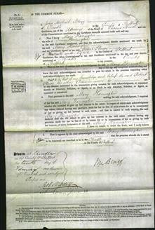 Court of Common Pleas - Mary Harrington-Original Ancestry