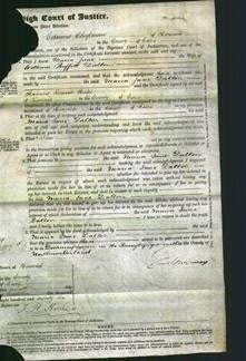 Court of Common Pleas - Maria Jane Dalton-Original Ancestry