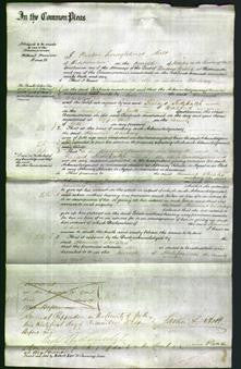 Court of Common Pleas - Hannah Whiteley-Original Ancestry