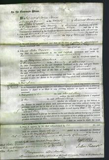 Court of Common Pleas - Sarah King Coombs-Original Ancestry