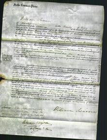 Court of Common Pleas - Mary Ann Lungley-Original Ancestry