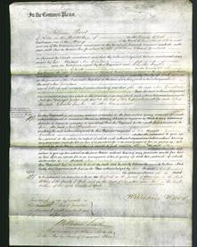 Court of Common Pleas - Ann Greenland-Original Ancestry