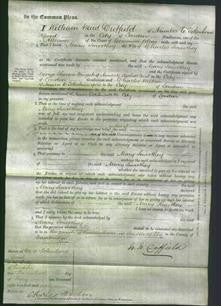 Court of Common Pleas - Mary Smoothey-Original Ancestry