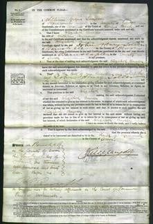 Court of Common Pleas - Elizabeth Bowden Andrews-Original Ancestry