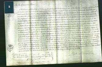 Court of Common Pleas - Elizabeth Hillier-Original Ancestry