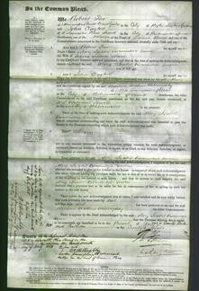 Court of Common Pleas - Mary Isabel Land Viscountess Downe-Original Ancestry