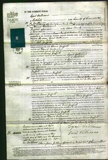 Court of Common Pleas - Anne Griffith-Original Ancestry