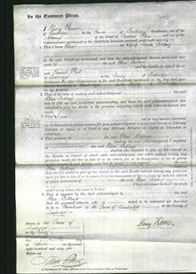 Court of Common Pleas - Ellen Codling-Original Ancestry