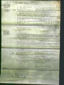 Court of Common Pleas - Anna Maria Moor