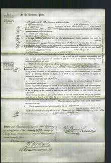 Court of Common Pleas - Sophia Beard-Original Ancestry