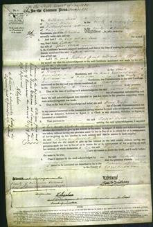 Court of Common Pleas - Lydia Jones-Original Ancestry