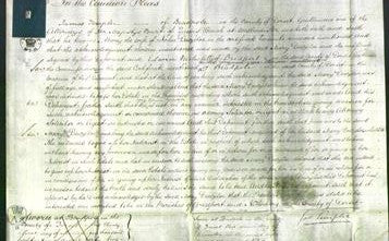 Court of Common Pleas - Mary Dewziloe-Original Ancestry