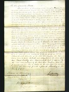 Court of Common Pleas - Jane Vaughan-Original Ancestry