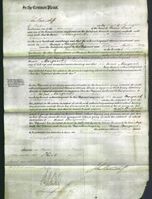 Court of Common Pleas - Margaret Edmondson-Original Ancestry