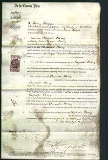 Court of Common Pleas - Augusta Parry-Original Ancestry
