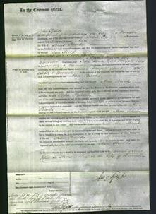 Court of Common Pleas - Ann Brooks-Original Ancestry