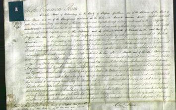 Court of Common Pleas - Mary Ann Broughton and Elizabeth Marlborough-Original Ancestry