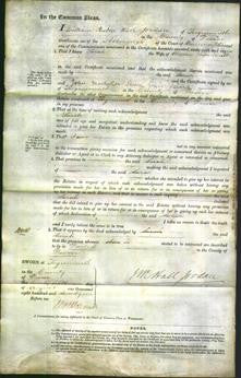 Court of Common Pleas - Sarah Knott-Original Ancestry