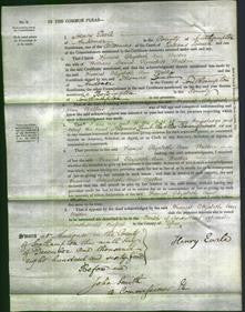 Court of Common Pleas - Francis Elizabeth Ann Walker-Original Ancestry