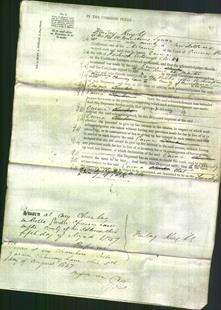 Court of Common Pleas - Emma Clark-Original Ancestry