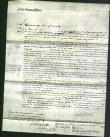 Court of Common Pleas - Elizabeth Sugden-Original Ancestry