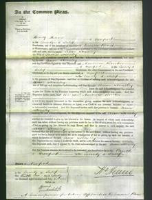 Court of Common Pleas - Ann Stoneley-Original Ancestry