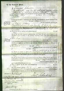 Court of Common Pleas - Eliza Batchellor-Original Ancestry
