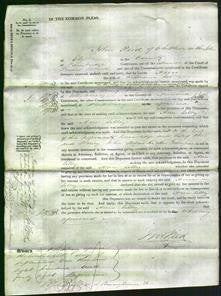 Court of Common Pleas - Ann Lilley-Original Ancestry