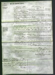 Court of Common Pleas - Mary Ann Court-Original Ancestry