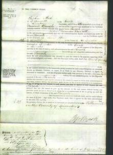Court of Common Pleas - Sarah Barrett-Original Ancestry