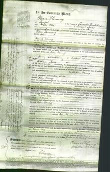 Court of Common Pleas - Helen Fleming