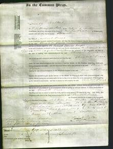 Court of Common Pleas - Elizabeth Paine-Original Ancestry