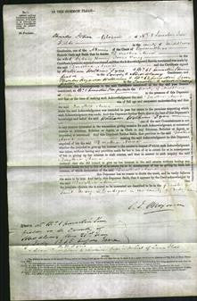 Court of Common Pleas - Dorothia Anne Parry-Original Ancestry