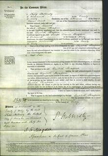 Court of Common Pleas - Elizabeth Thompson-Original Ancestry