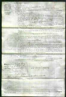 Court of Common Pleas - Ann Ellen Lightfoot-Original Ancestry