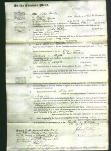 Court of Common Pleas - Mary Ann Clayton-Original Ancestry